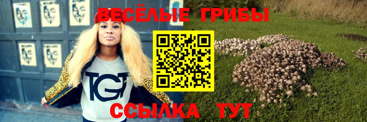 Воткинск  дарнет шоп  Вход с VPN  Галлюциногенные грибы ЛСД 