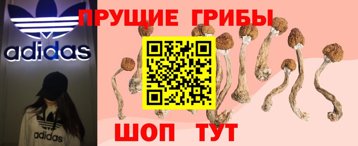 Псилоцибиновые грибы прущие грибы Воткинск